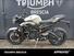 Triumph Street Triple R (2020 - 23) (13)