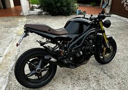 Triumph Speed Triple 1050 (2005 - 11) usata