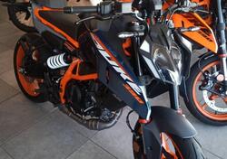 KTM 390 Duke (2024 - 25) nuova