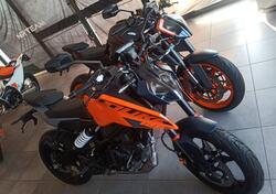 KTM 125 Duke (2024 - 25) nuova