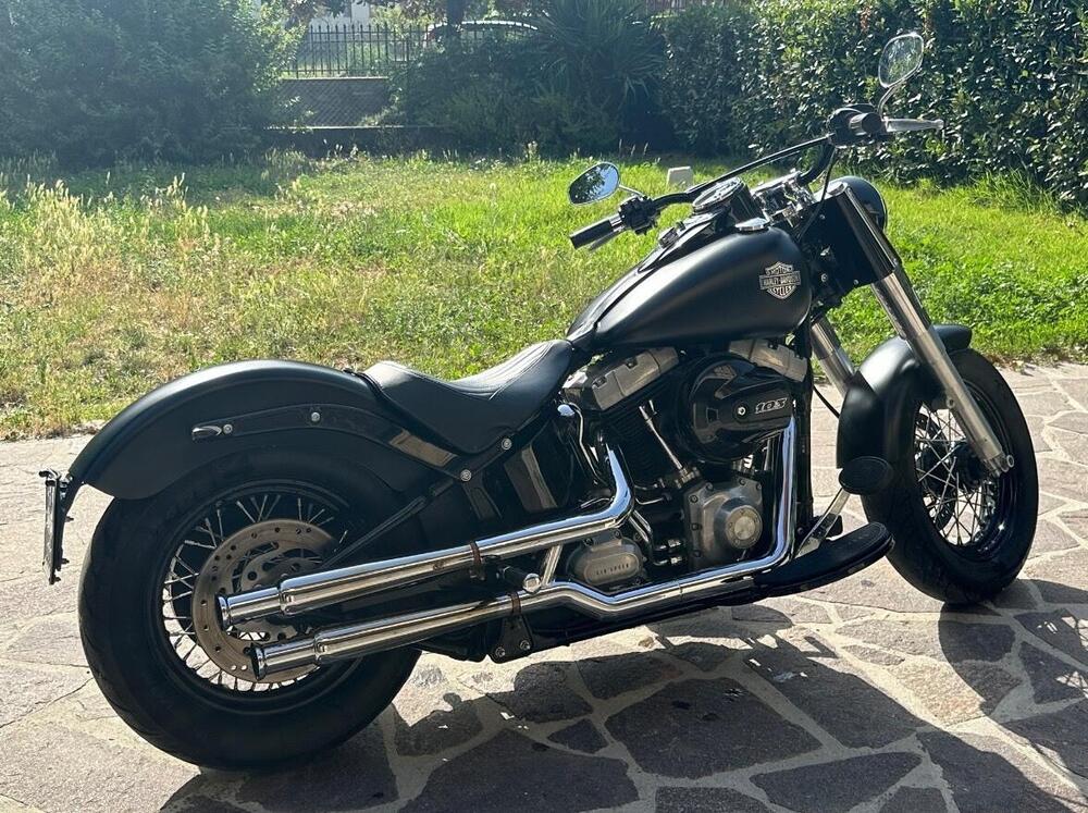 Harley-Davidson 1690 Slim (2017) - FLS (2)