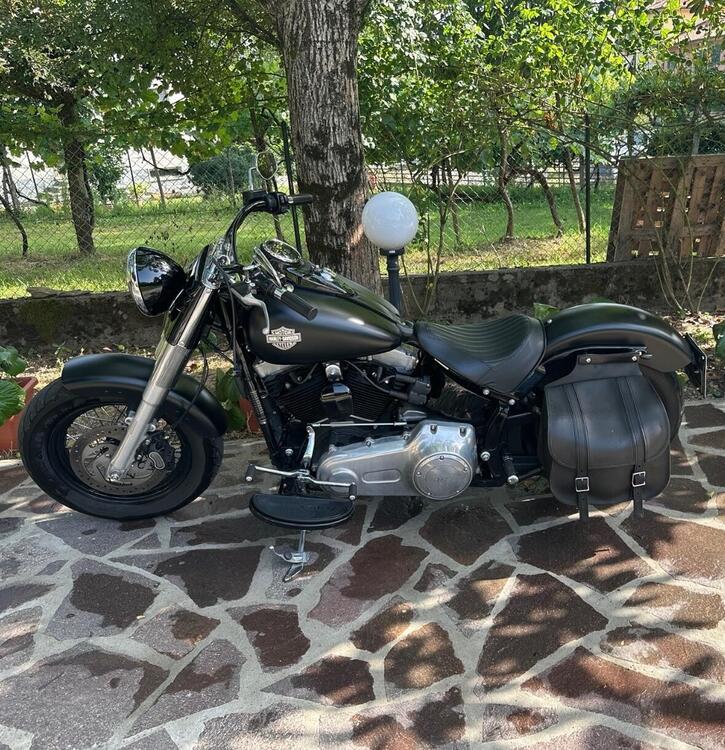 Harley-Davidson 1690 Slim (2017) - FLS (3)