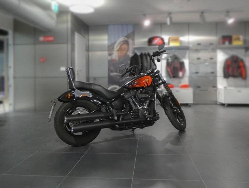 Harley-Davidson Street Bob 114 (2021 - 24)