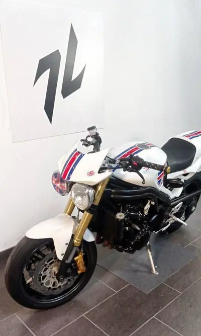 Triumph Speed Triple 1050 (2005 - 11) usata