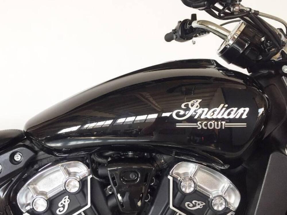 Indian Scout (2021 - 24) (2)