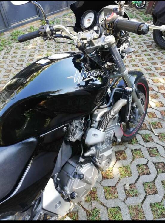 Honda Hornet (5)