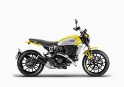 Ducati Scrambler 800 Icon (2023 - 24) nuova