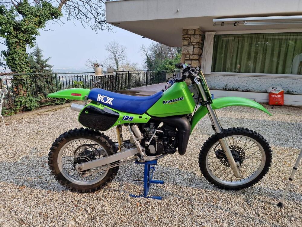 Kawasaki KX (2)