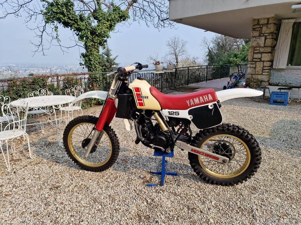 Yamaha YZ (2)