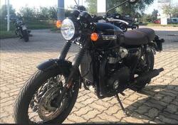 Triumph Bonneville T120 (2021 - 24) usata