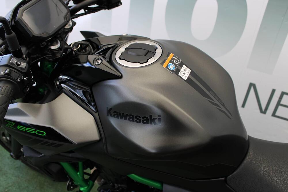 Kawasaki Z 650 (2021 - 25) (5)