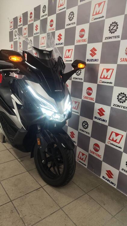 Honda Forza 300 (2019 - 20) (3)