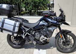 Triumph Tiger 900 GT Pro (2020 - 23) usata