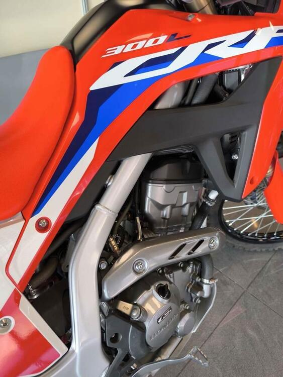 Honda CRF 300 L (2021 - 24) (4)