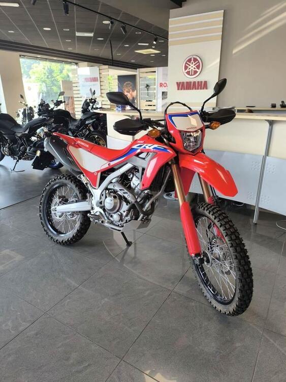 Honda CRF 300 L (2021 - 24) (2)