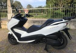 Honda Forza 300 ABS (2013 - 17) usata