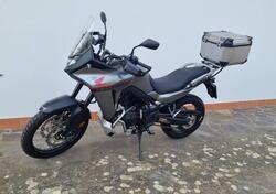 Honda Transalp XL750 (2023 - 24) usata