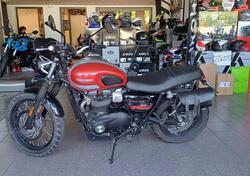 Triumph Street Scrambler 900 (2017 - 18) usata