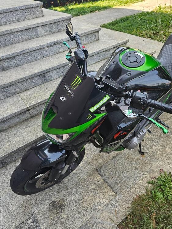 Kawasaki Z 800 (2012 - 13) (4)