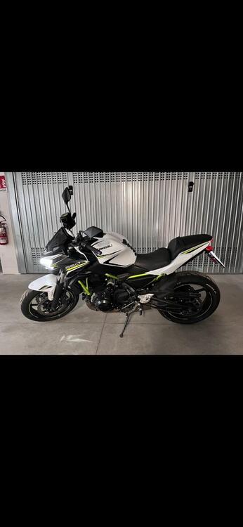 Kawasaki Z 650 Performance (2020)