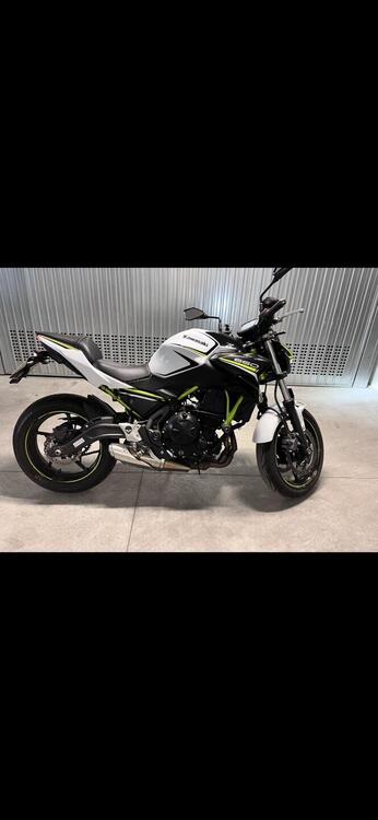 Kawasaki Z 650 Performance (2020) (3)