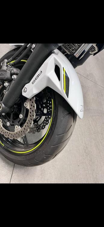 Kawasaki Z 650 Performance (2020) (5)