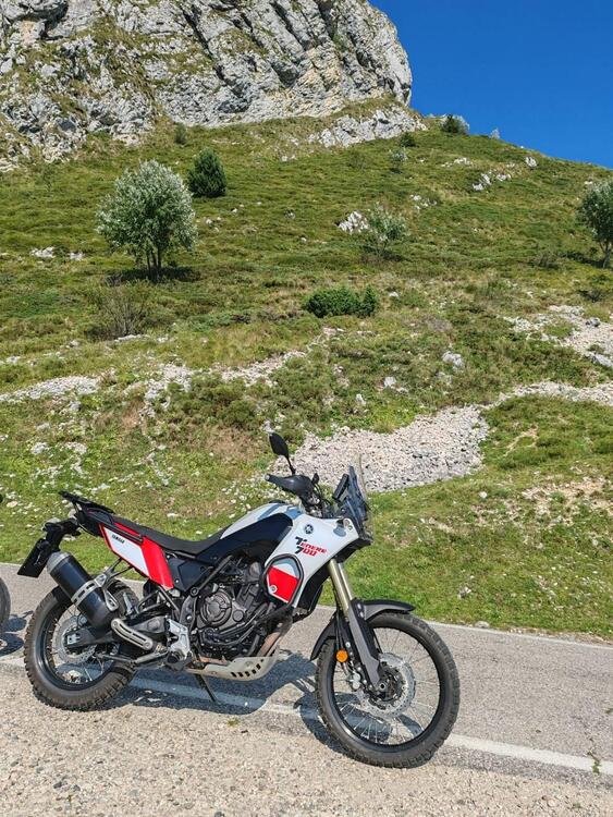 Yamaha Ténéré 700 (2019 - 20) (3)