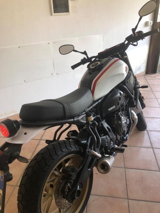 Yamaha XSR 700 XTribute (2022 - 24) (3)