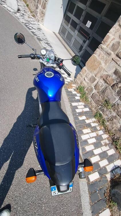 Suzuki SV 650 (1999 - 02) (2)