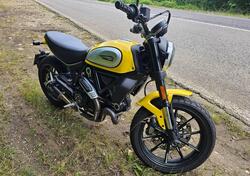 Ducati Scrambler 800 Icon (2017 - 20) usata