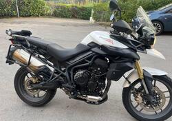 Triumph Tiger 800 ABS (2010 - 14) usata