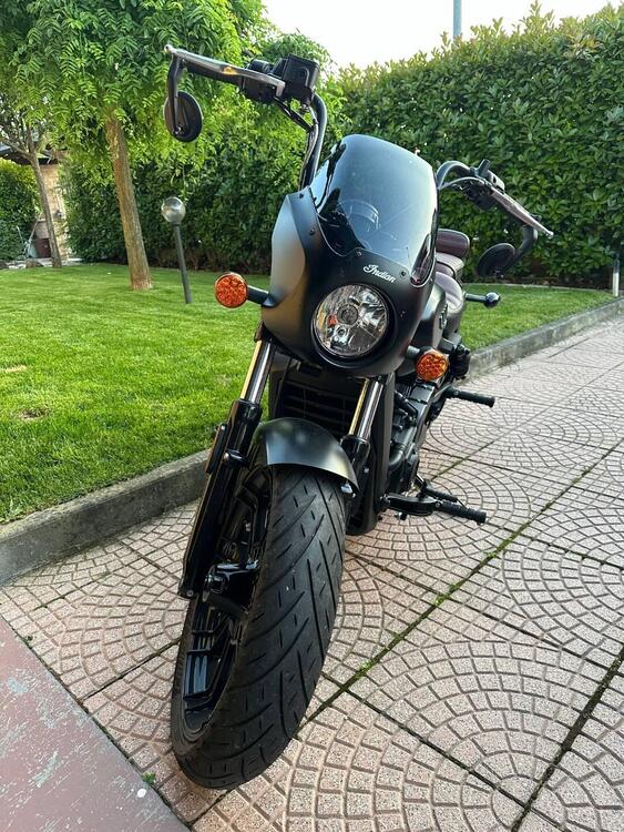 Indian Scout Rogue (2022 - 24)