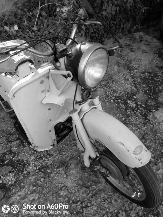 Moto Guzzi Galletto 175cc (3)