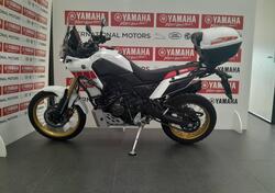 Yamaha Ténéré 700 World Rally (2023 - 24) usata