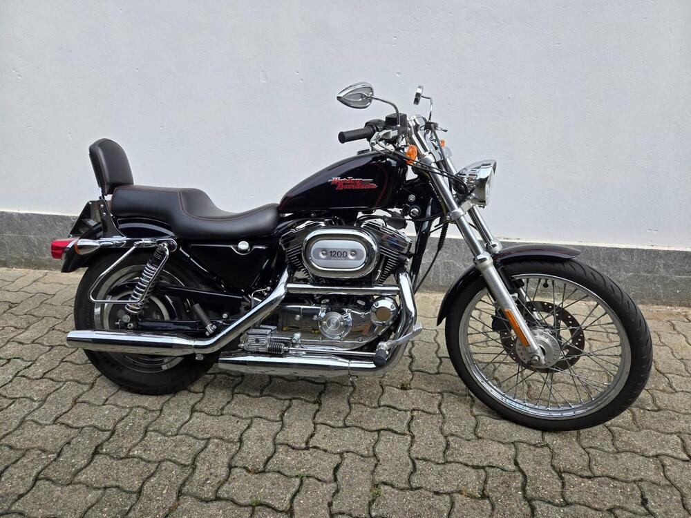 Harley-Davidson 1200 Custom (2001 - 03) - XL 1200C