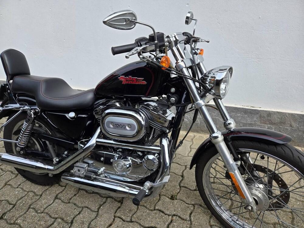 Harley-Davidson 1200 Custom (2001 - 03) - XL 1200C (2)