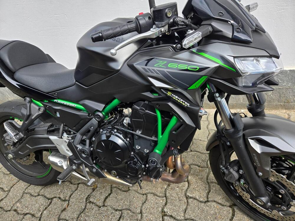 Kawasaki Z 650 (2021 - 25) (5)