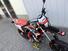 Betamotor RR 50 Motard Sport (2021 - 24) (19)