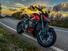 Ducati Streetfighter V4 (2023 - 24) (7)