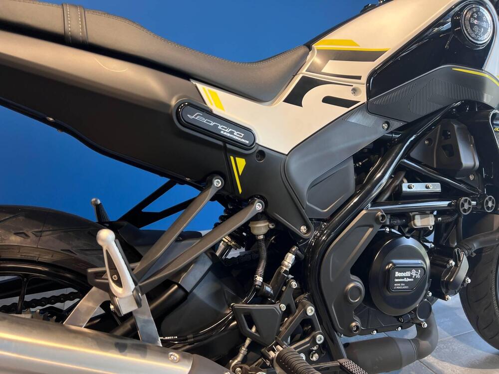 Benelli Leoncino 250 (2021 - 24) (4)