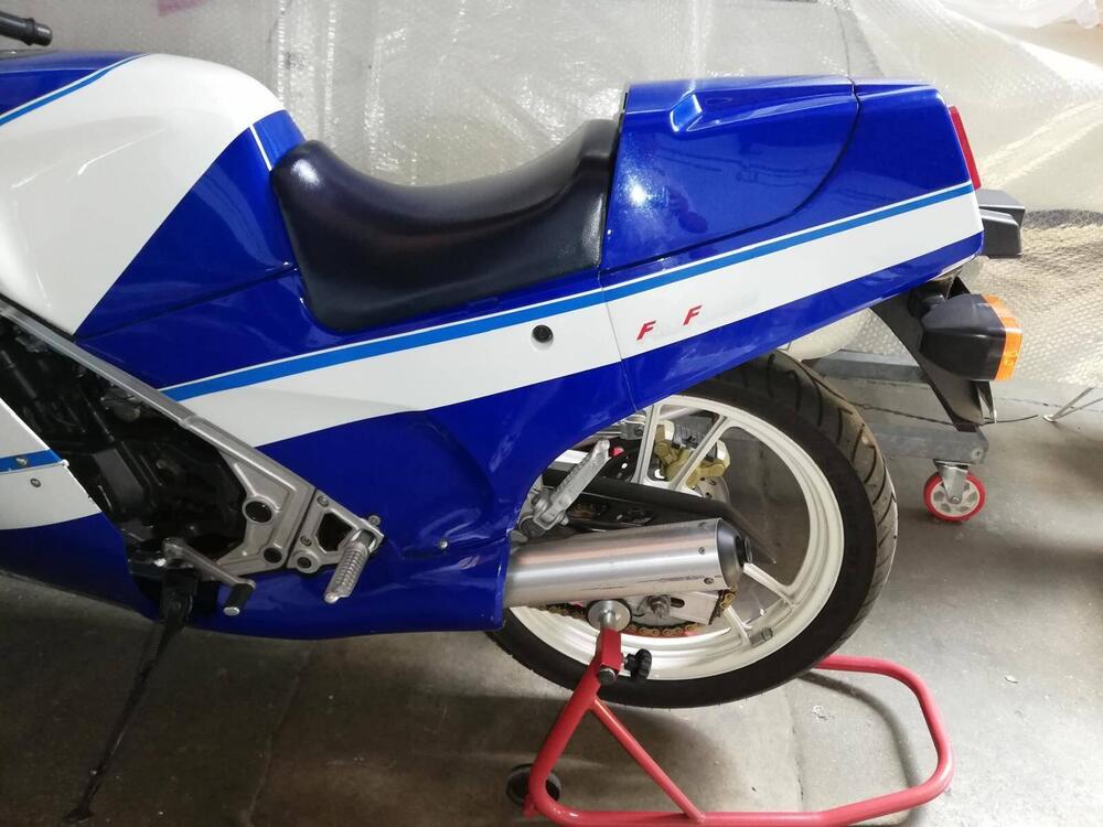 Suzuki RG 250 GAMMA (2)