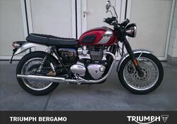 Triumph Bonneville T120 Elvis (2024 - 25) nuova