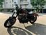 Harley-Davidson 1200 Roadster (2017 - 20) - XL 1200R (10)