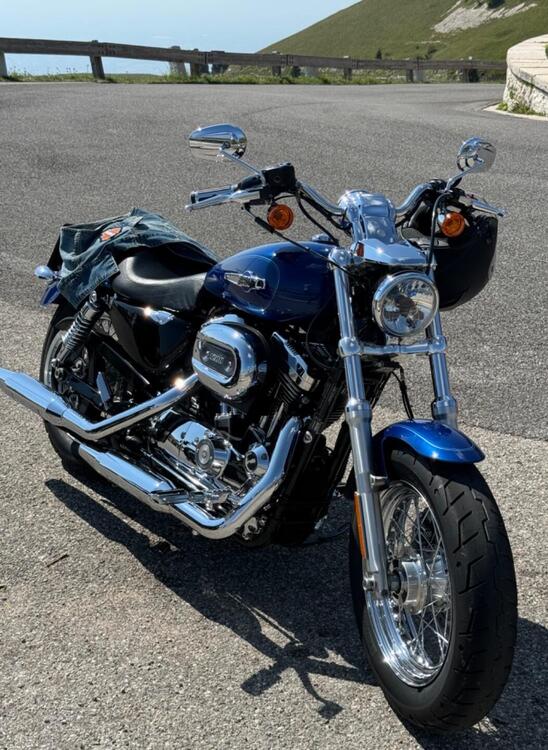 Harley-Davidson 1200 Custom ABS (2014 - 16) - XL 1200C