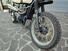 Triumph Scrambler (2006 - 17) (14)