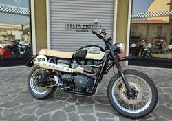 Triumph Scrambler (2006 - 17) usata