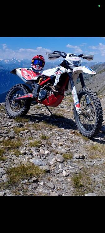 Betamotor RR 498 4T Enduro (2013) (2)