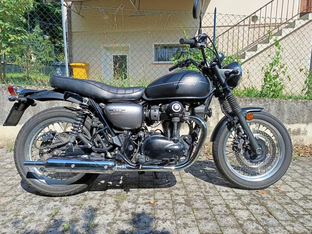 Kawasaki W 800 Street (2019 - 20) (2)