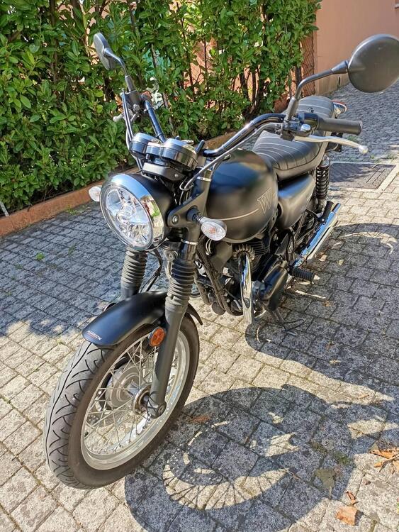 Kawasaki W 800 Street (2019 - 20)