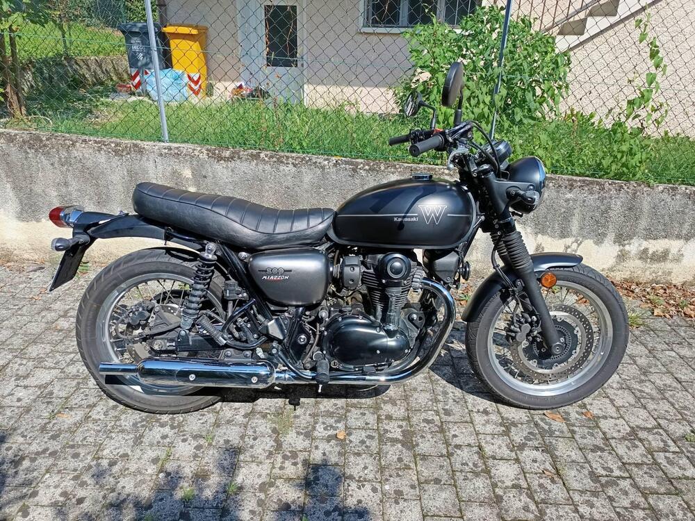 Kawasaki W 800 Street (2019 - 20) (4)